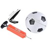 Trizand Futbolo vartai + kamuolys + pompa
