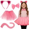 Kitten Costume - Rožinė 4-Piece Kruzzel 26517