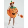 Pumpkin Costume Kruzzel 21908