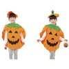 Pumpkin Costume Kruzzel 21908