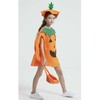Pumpkin Costume Kruzzel 21908