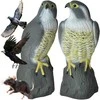 Repest Bird scarer - falcon 23421