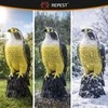 Repest Bird scarer - falcon 23421