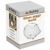 Piggy bank - glass piggy Ruhhy 22588