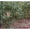 Tinklas vijokliniams augalams 2x10m Gardlov 23978