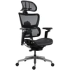 Antares Fiero Mesh, Juodas