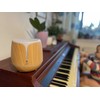 Drėkintuvas Airbi SONIC Aroma difuzorius šviesios medienos