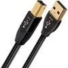 USB kabelis Audioquest Pearl USB A į USB B - 3,0 m