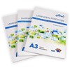 Aveli Laminuotos kišenės A3/250 mic (2x125), blizgios