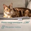 Beurer kilimėlis grzewcza augintiniams Lilli PP 210