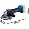 Bosch GWS 18V-8 Solo, LB