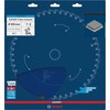 Bosch Expert for Fiber Cement 305 x 30mm, T8