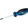 Bosch Atsuktuvas TX20 x 100mm