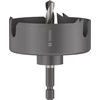 Bosch skylių pjūklas 65mm, su stiebu