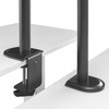 Laikiklis Fellowes Brateck LDT66-C024