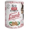 BRIT CARE Cat Superfruits Chicken skanėstai 100g