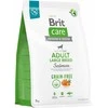 Brit Care GF Adult LB su lašiša ir bulvėmis 3kg