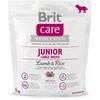 Sausas maistas jaunam šuniui (3 mėn - 2 metai), didelių veislių virš 25 kg - Brit Care Dog Grain-Free Junior Large lašiša 1kg
