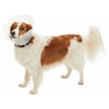 KRUUSE BUSTER Classic Dog Collar, 10 cm, Transparent, 10 pcs