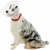 KRUUSE BUSTER Classic Dog Collar, 7.5 cm, Transparent, 10/pk