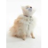 KRUUSE BUSTER Neckstrap f/Collars, 40 cm, 10 pcs