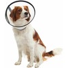KRUUSE BUSTER Quick Collar, 30 cm, 5 pcs.