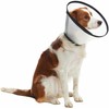 KRUUSE BUSTER Quick Collar, 30 cm, 5 pcs.