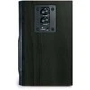 Kompiuterio kolonėlės Kompiuterių garsiakalbiai C-Tech SPK-310B