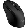 Pelė C-Tech WLM-12 Juodas (WLM12BK)
