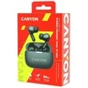 Ausinės Canyon OnGo ANC TWS-10, Pilkos