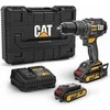 CAT DX12