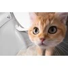 Catlink Scooper Pro Ultra išmani savaime išsivalanti kačių kraiko dėžė su AI kamera
