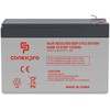 Conexpro AGM battery 12V, 9Ah, 10 metai, Faston 6,3mm, Deep cycle