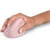 CONNECT IT FOR HEALTH LADIES Rožinis ergonomic vertical pelė, wireless