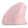 CONNECT IT FOR HEALTH LADIES Rožinis ergonomic vertical pelė, wireless