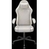 Fotel Arozzi COUGAR Fusion EX Popielaty (CGR-FXF-ASW)