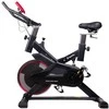 Spiningo dviratis inSPORTline Alfan (iki 100kg, smagr. 6kg)