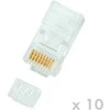 DATACOM Plug UTP CAT6 8p8c- RJ45 wire
