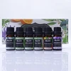 Drėkintuvas GLOXAO1 - Set of 6 Aromatherapy Oils