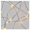 LED girlianda NANO, 3Vac (2xAA), 0.9m, 10 x LED, šiltai balta, su laikmačiu, EMOS