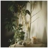 Emos LED decoration - 2x birch twig, 60 cm, 3x AA, indoor and outdoor, warm baltas, timer