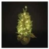Emos LED medžio, 50 cm, indoor and outdoor, warm baltas, timer