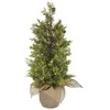 Emos LED medžio, 50 cm, indoor and outdoor, warm baltas, timer