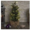 Emos LED medžio, 50 cm, indoor and outdoor, warm baltas, timer