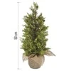 Emos LED medžio, 50 cm, indoor and outdoor, warm baltas, timer
