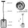 EMOS SALVIA 1554001000 Garden Pendant Light