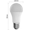 Lemputė LED Wi-Fi E27, 230V, 9W, 805lm, 2700K - 6500K, CCT, A60, valdoma programėle, TUYA / Smart Life, EMOS