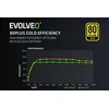 EVOLVEO G1200, 1200 W maitinimo šaltinis, 80+ GOLD, ATX 3.1, aPFC, 140 mm ventiliatorius, pilnai modulinis, 3 metų garantija, juodas