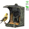 Evolveo StrongVision BirdFeeder Inteligentne karmnik dla ptaków su kamera i panelem słonecznym