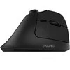 Pelė Evolveo Pionowa pelė TwinVerti, Ergonomiczna pelė, 2.4GHz, Bluetooth, juoda